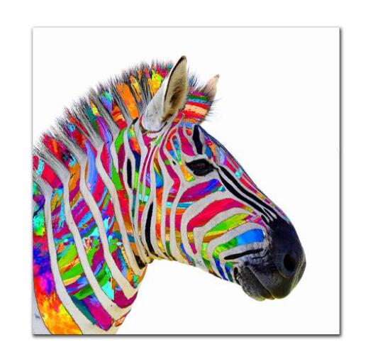 Colorful Stylized Zebra Portrait wall art canvas print drop shipping - 副本