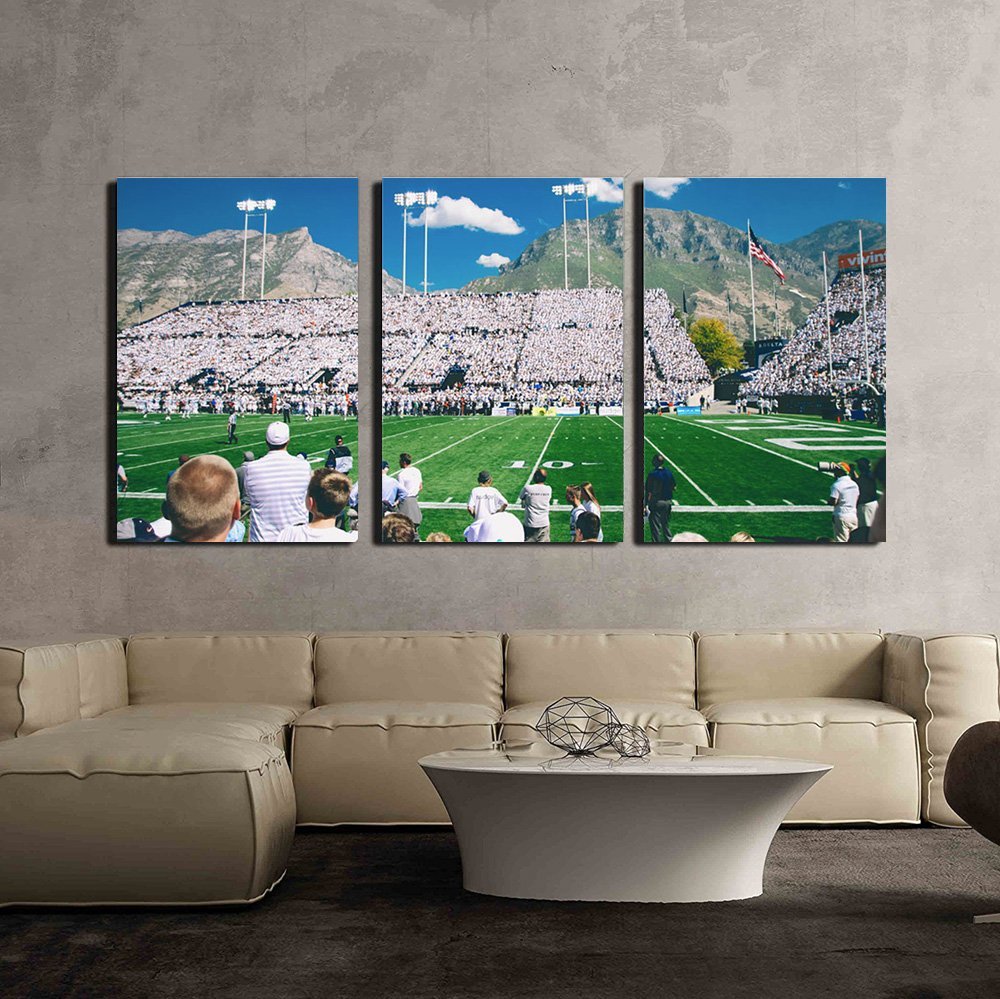 Soccer Match on the Stadium with Crowd of People in the Light Day  Canvas Wall Art drop shipping  - 副本