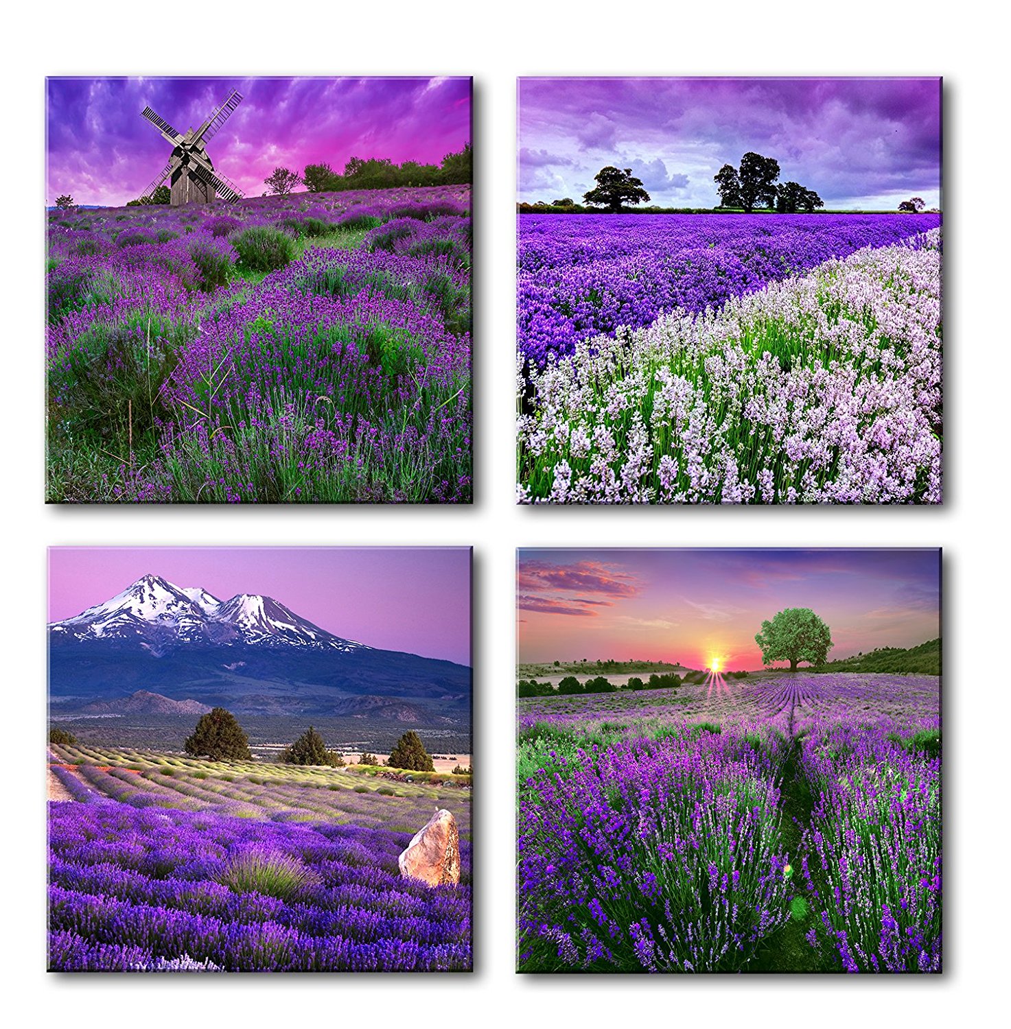 Romantic Lavender Wall Art Pictures Purple Provence Flowers Fields Paintings Drop shipping - 副本