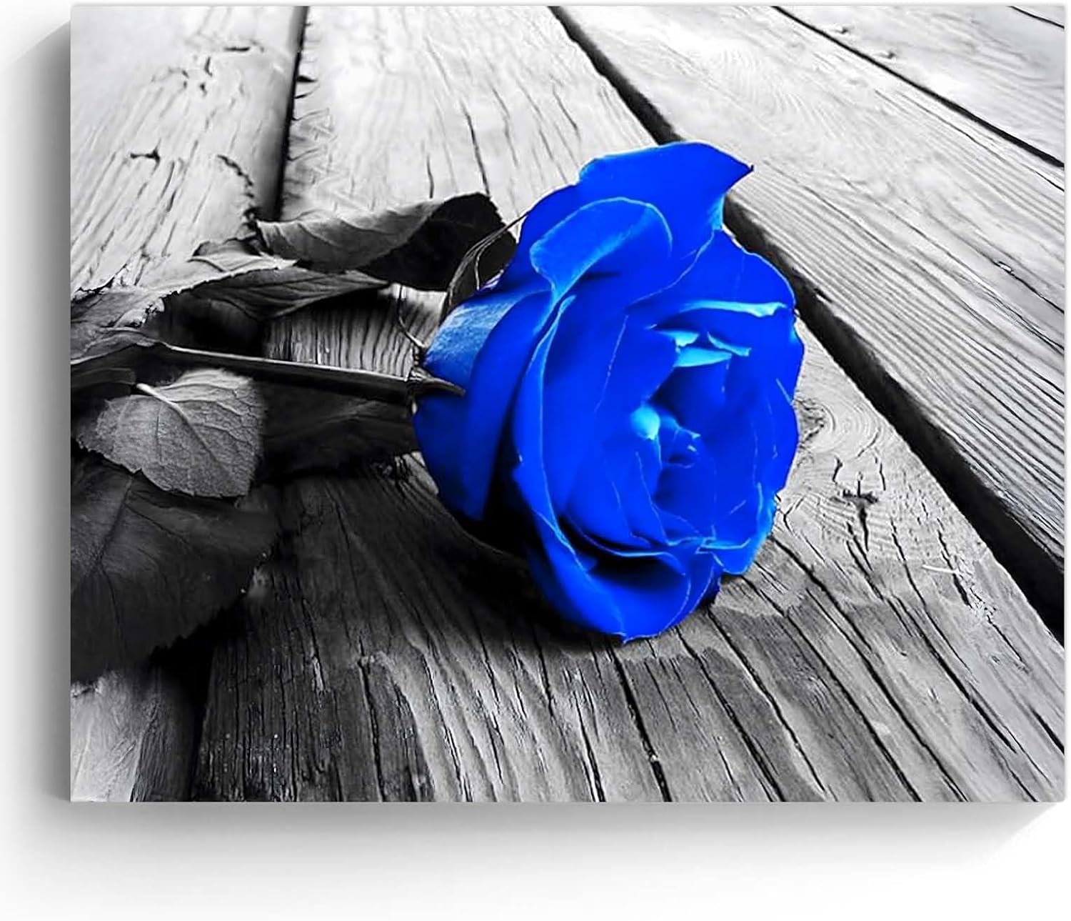 Romantic Blue gift Rose on Wooden Background, Love-Inspired Artwork Drop shipping